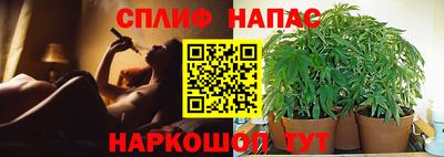 метадон Гусев