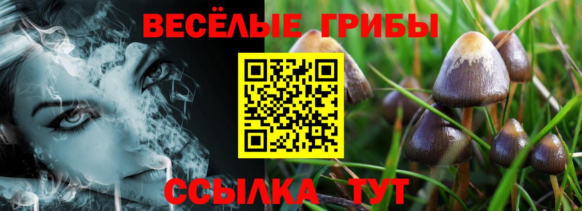 Псилоцибиновые грибы GOLDEN TEACHER  Вход с VPN  Мичуринск 