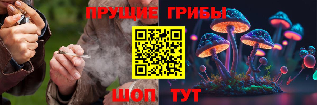 Псилоцибиновые грибы прущие грибы Мичуринск